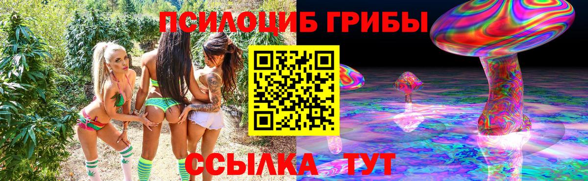 Галлюциногенные грибы GOLDEN TEACHER Сосновоборск