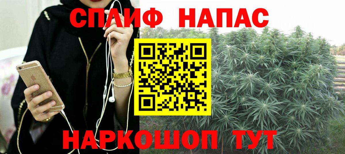 Бошки Шишки MAZAR Сосновоборск